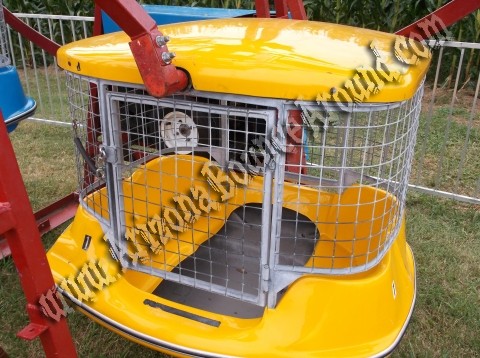 Amusement ride rental